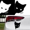15*18CM Car Interior Stickers Cat Stickers Fun Vinyl Stickers Car Styling Decorative Accessories