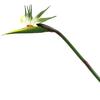 Artificial Flower Lifelike Bird of Paradise Realistic Non-fading And Low Maintenance Home Decoration