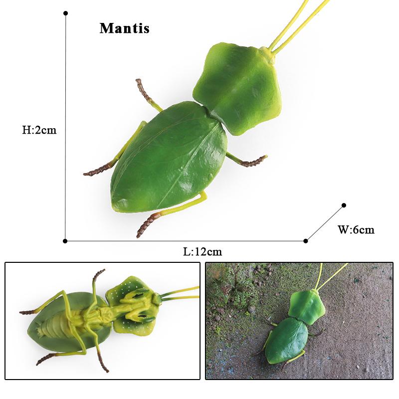 Oenux Simulation Dragonfly Grasshopper Centipede Wild Insect Animals Model Action Figures Miniature Education Collection Kid Toy