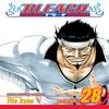 Bleach Vol. 28 by Tite Kubo Paperback Book 9781421523866