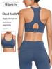 Colorblock Women's Sports Bra: Running Yoga Vest for Large Bust - Minimizing, Supportive, Beautiful Back, Shockproof Fitness Outerwear.