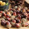 10Pcs Foam Artificial Mini Acorn Fruit Ornaments Christmas Wedding Party Decor