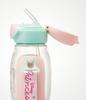 Skater Water Bottle with Straw, 530ml, Disney Princess 23, One-Push Operation, for Girls, PDSH6DX-A