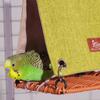 Hanging Bird House Weaving Bird Cage Hut Tent Bed Creative Parrot Swing Hammock  Summer