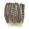 10Pcs/Lot Real Natural Turkey Feather Eagle Bird Feathers For Crafts Birds Plumes Decor Carnaval Accessories Manmade Decorations