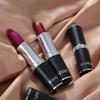 Sexy Nude Red Brown Purple Lipgloss Matte Lip Gloss Velvety Lipstick Matte Waterproof Makeup Long Lasting Cosmetic