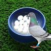 Quails Dehumidification Breeding Bird Nest Pigeon Accessories Nesting Bowls Hatching Box