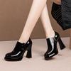 Fashion 2025 Spring and Autumn New Black Casual Thick High Heel Single Shoes Female Side Zip Round Head Platform Pumps Women's Shoes