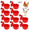 10Pcs Chicken Drinking Bowl Drinking Water Quail Poultry Automatic Water Dispenser Duck and Pigeon Free Range Chicken