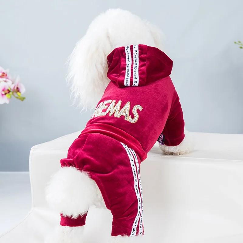 Dog Clothes for Small Dogs Cat Warm Winter Pet Clothing Soft Velvet Overalls Puppy Girl Hoodies Jumpsuit Sweatshirt Chihuahua