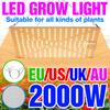 LED Grow Light LED Phytolamp Full Spectrum Lamp Plant Growth Hydroponics Plants Seed Flower Grow Box 1000W 2000W Quantum Board