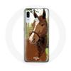 Case for Samsung Galaxy A20 Quarter Horse Brown Horse Breed