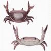 Weightlifting Crab Pen Holder Creative Desktop Organizer Decorative Desk Accessory for School Office Home Desk