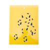 Glue Garden Supplies For Aphids Flies Bug Insect Trap Insect Killer Pest Control Sticky Board