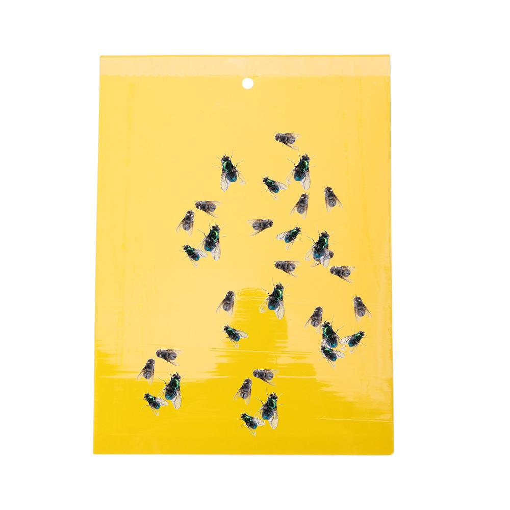 Glue Garden Supplies For Aphids Flies Bug Insect Trap Insect Killer Pest Control Sticky Board
