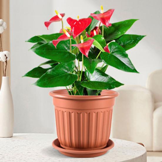 Yousheng Large Flower Pot with Saucer Solid Color Planter with Drainage Hole Garden Rose Flowerpot for Indoor Outdoor Orchids Succulents Herbs