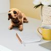 Mini Resin Bobble Head Dog Figurine Desktop Ornament Bobblehead Toy Creative Shaking Decor