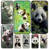 Panda Animal Cute Bear Cover For Samsung Galaxy A34 A24 A54 A14 A52 A42 A32 A22 A12 A51 A71 A53 A33 A23 A13 Case