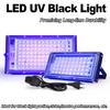 Led Uv Floodlight 50w 100w 395nm Prosite Purple-light 240v Ultraviolet Light Ultravilet Lamp Floodlights Purple Germicidal Ozone