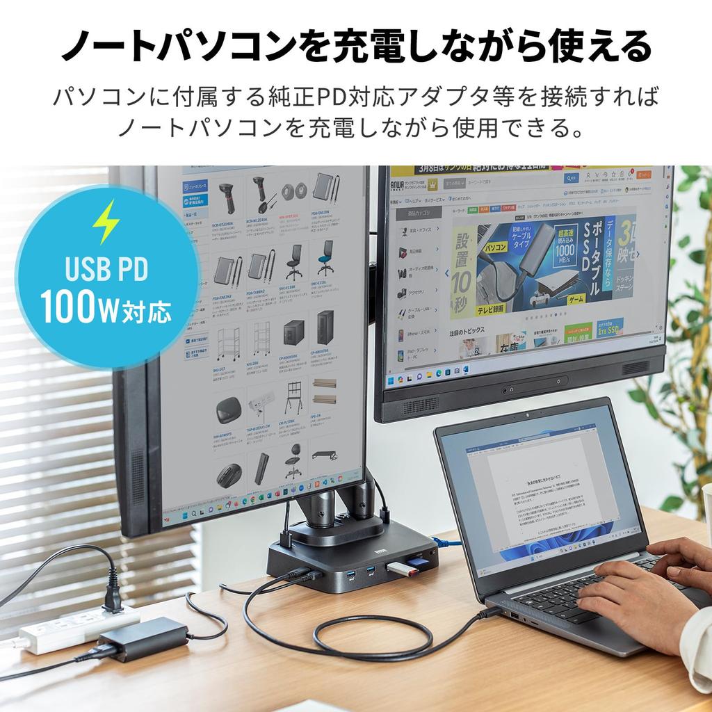 SANWA SUPPLY Monitor Arm with Docking Station Gas Spring (Dual Arm, Type) CR-LACDK2402BK