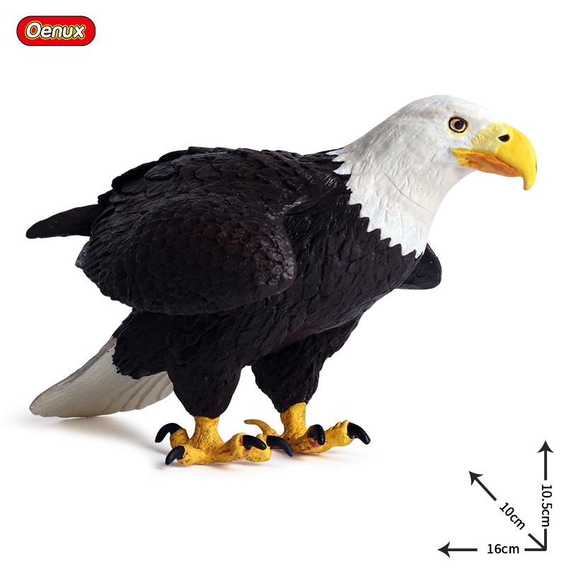 Oenux Bird Nest Animals Peacock Parrot Trogon Hornbill Owl Model PVC Action Figures Big Garden Decoration Cute Kids Toy Gift