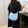 2025 New Pleated Cloud Bag Women's Shoulder Strap Adjustment Messenger Bag Fashion Down Cotton Clothes Underarm Dumpling Bag