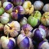 100 Purple Tomatillo Seeds - Physalis Tomato Vegetable Garden - Reproducible Peasant Seeds - SemiWild