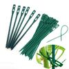 50pcs Plastic Plant Cable Ties Reusable Tools Garden Grow Kit Tree Climbing Support Gardening Planter 13.5cm 17cm