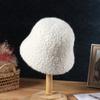 Hat Soft Women's Winter Bucket Hat Felt Lamb Wool for Girl Autumn and Winter Fashion Fur Panama Hip Hop Hat Off White Cap