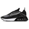 New Air Max 2090 Black Wolf Grey Anthracite CW7306-001