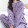 2025 Autumn Women Solid Warm 2 Piece Sets Thicken Velvet Ribbed Fleece Set Pullover And Pants Women Casual Pajama Sets