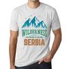 Homme Graphique  Tee Shirt Graphic T Shirt Wilderness SERBIA White Smoke