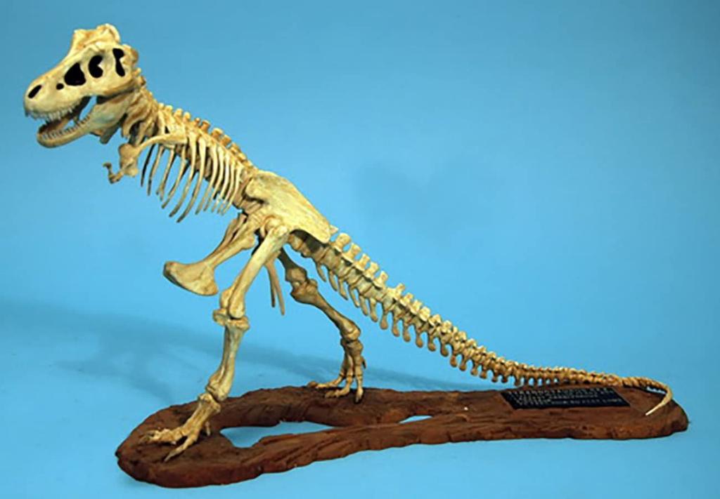GLEMCOE MODELS Tyrannosaurus Skeleton Model Plastic Model GM07906 Molding Color 1/24