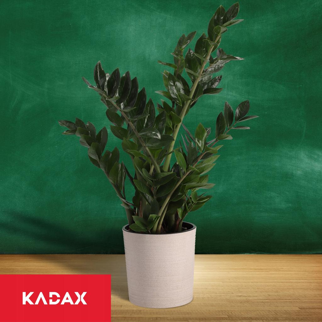 KADAX Doniczka Osłonka Donica misa Na Kwiaty  19cm