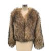 Autumn and Winter New Fashion Coat Women's Casual Long-sleeved Imitation Raccoon Fur Coat