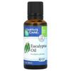 Eucalyptus Oil, 1 Fl Oz (30 Ml)