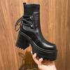 2024 New Ankle Modern Boots Cotton Fabric Lace FashionBlack Chunky High Heel Super High Platform Shoes for Women Spring Autumn