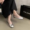 With Skirt Mary Jane Shoes Single Shoes Women's Spring and Summer New Flat Silver Small Leather Shoes