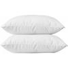 Pillow - White - 60x60 Cm - Memory Foam - Removable Cover - Antibacterial