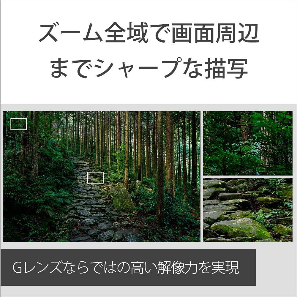 Sony Standard Zoom Lens Full Size FE 24-105mm F4 G OSS G Lens for Digital Single Lens Camera [E Mount] Genuine Lens SEL24105G