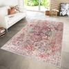 Washable Printed Carpet RVGHOME1105