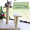 All-Season Cat Activity Tower with Scratching Post, Climbing Frame, and Cozy Bed
