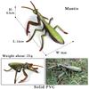 Oenux Simulation Dragonfly Grasshopper Centipede Wild Insect Animals Model Action Figures Miniature Education Collection Kid Toy