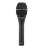AUDIX VX10 Vocal Live Singing Recording Studio Recording Handheld Condenser Microphone Unidirectional Black