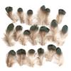 80 Natural Pheasant Feather Decorative Diy Jewelry Hair Accessories Material Cat Stick Toy Accessories