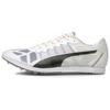 Evospeed Cushioning Wear-Resistant Non-Slip Low-Top Running Shoes Men Sneakers Gray Black 194662-01