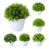 Beautiful Simulation Bonsai Easy Care No Withering Portable Fake Grass Plants Pot Ornament
