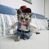 Cat Clothes Funny Cosplay Cowboy Costume For Small Medium Dogs Cats Puppy Outfits Novelty Kitten Dress Up Outfits Pet Supplies