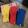 Solid Color Knitted Gloves Touchscreen Warm Mittens Casual Women Gloves  Outdoor Riding