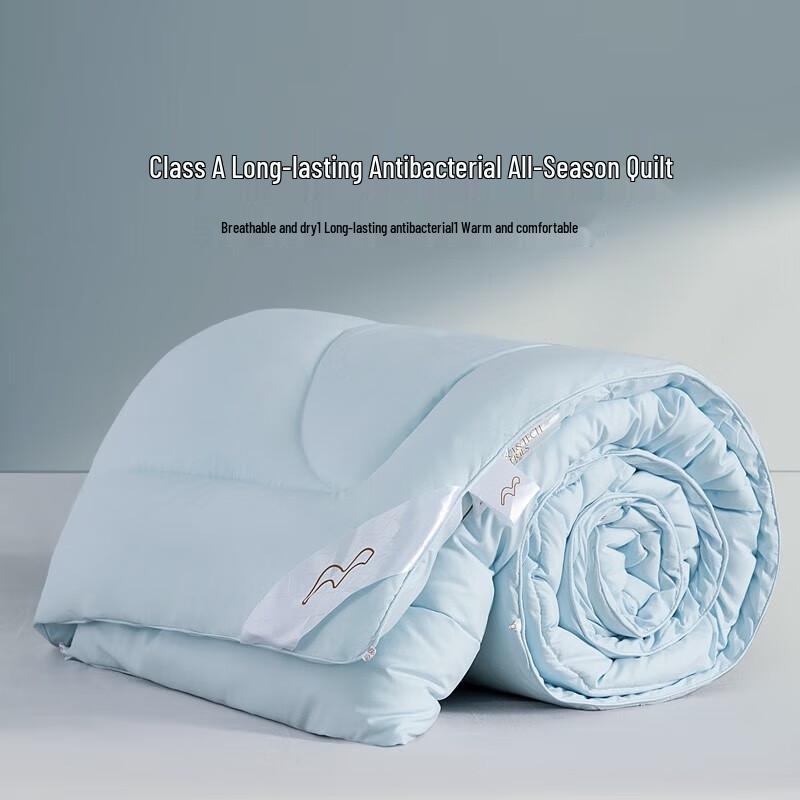 Mercury Home Textiles All-Season Antibacterial Duvet Insert